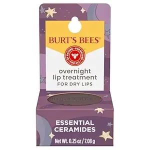 [S&S] $3.99: 0.25-Oz Burt's Bees Original Overnight Intensive Lip Treatment at Amazon