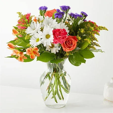 FTD Flower Delivery Oopsie Daisy Bouquet Daisy