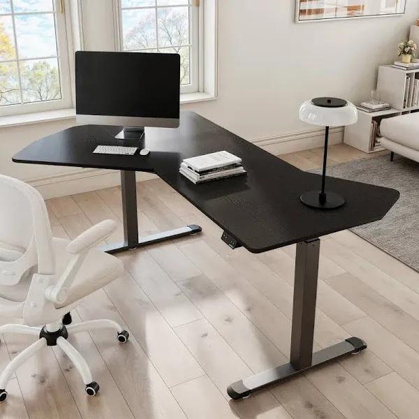 Eureka Ergonomic Office Standing Desk 70"x46"