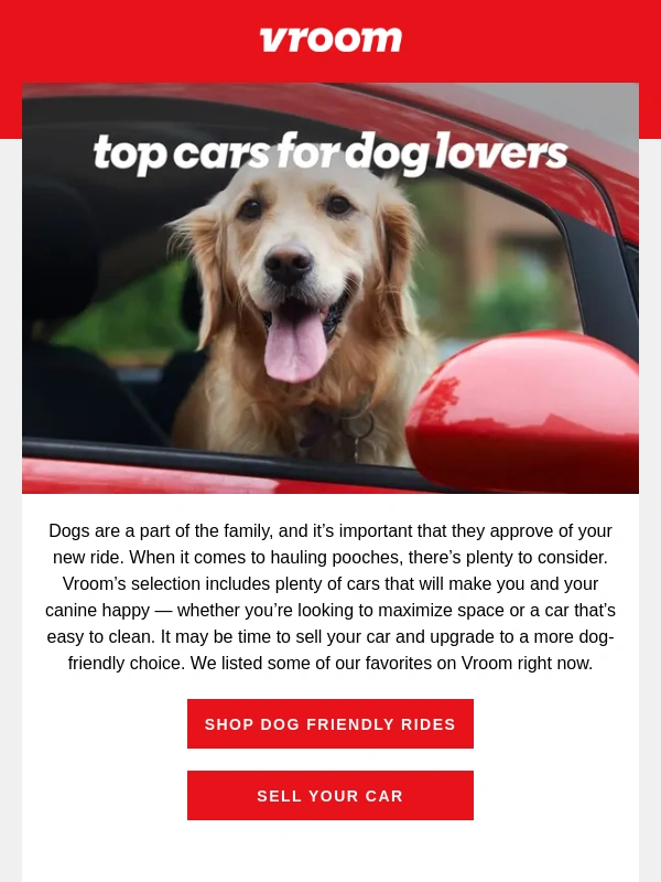Vroom - Shop these dog friendly rides