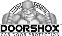 DoorShox