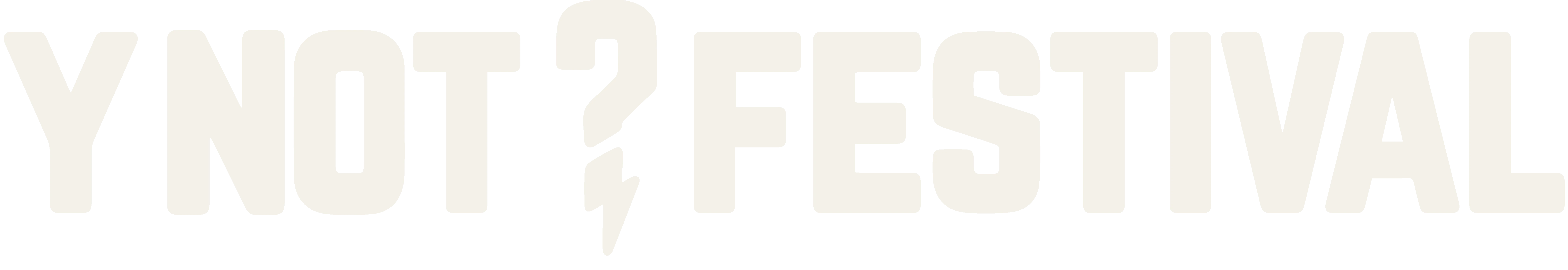Y Not Festival