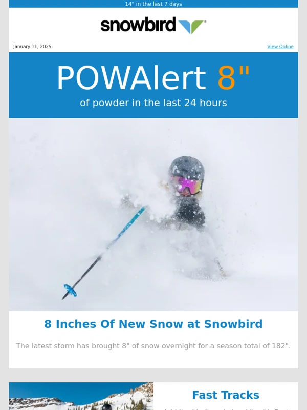 Snowbird - 8" of New Snow at Snowbird
