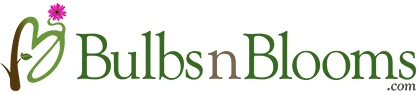 Bulbsnblooms