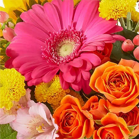 Proflowers Florist Original Mixed Bouquet