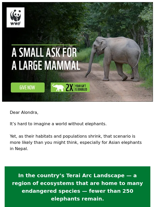 WWF - Asian elephants need your help