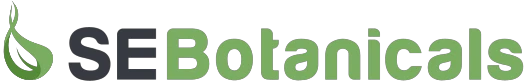 eBay Coupon