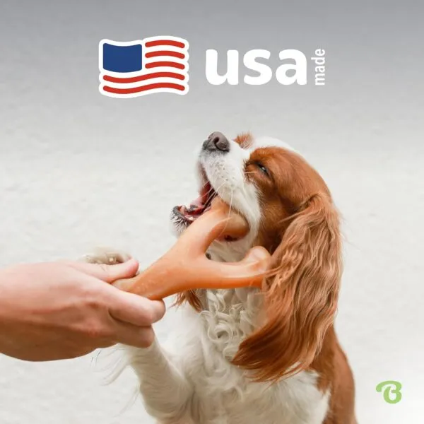 Benebone Wishbone Dog Chew Toy as Low as $6.64 After Coupon + Free Shipping – Giant Bacon or Chicken