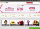 FlowerAdvisor