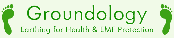 eBay Coupon