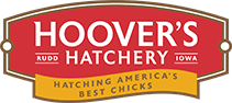 Hoover's Hatchery