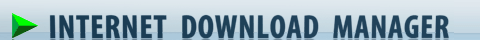Internet Download Manager