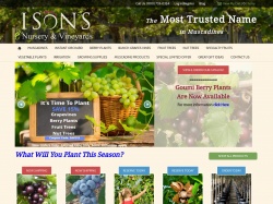Ison's