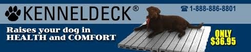 eBay Coupon