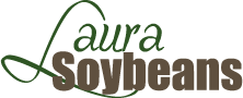 Laura Soybeans
