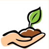 Main Street Seed and Supply