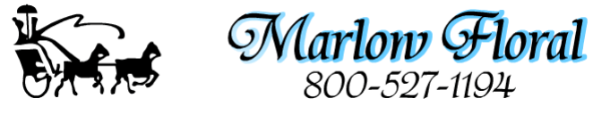 Marlow Floral