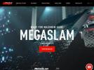 Mega Slam Hoops