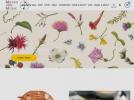 eBay Coupon
