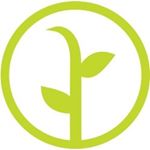 eBay Coupon