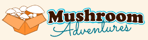 Mushroom Adventures