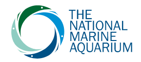 National Marine Aquarium