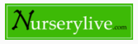 Nursery Live