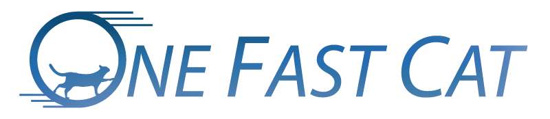 eBay Coupon