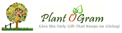 PlantOGram