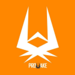 Prowake