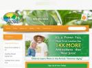 eBay Coupon
