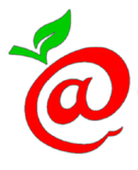 eBay Coupon
