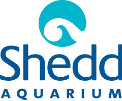 Shedd Aquarium