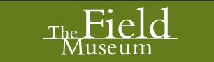 The Field Museum
