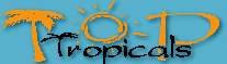 Toptropicals