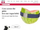 eBay Coupon