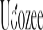 eBay Coupon