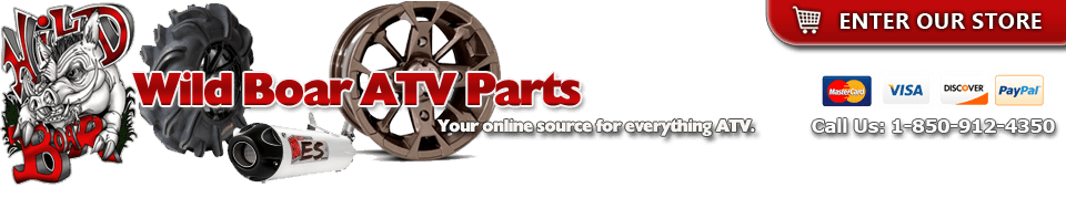 eBay Coupon