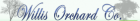 eBay Coupon